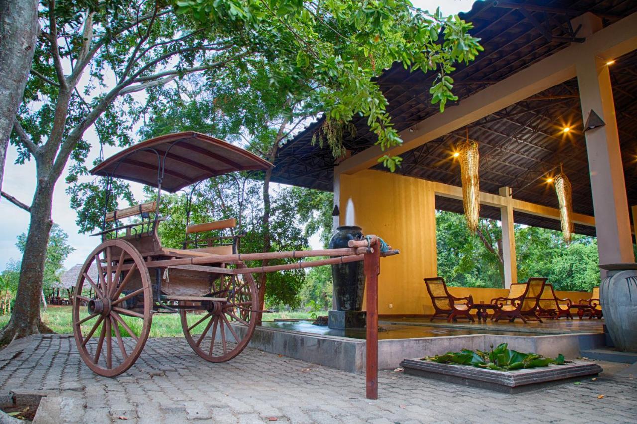 Hotel Kassapa Lions Rock Sigiriya Exterior foto