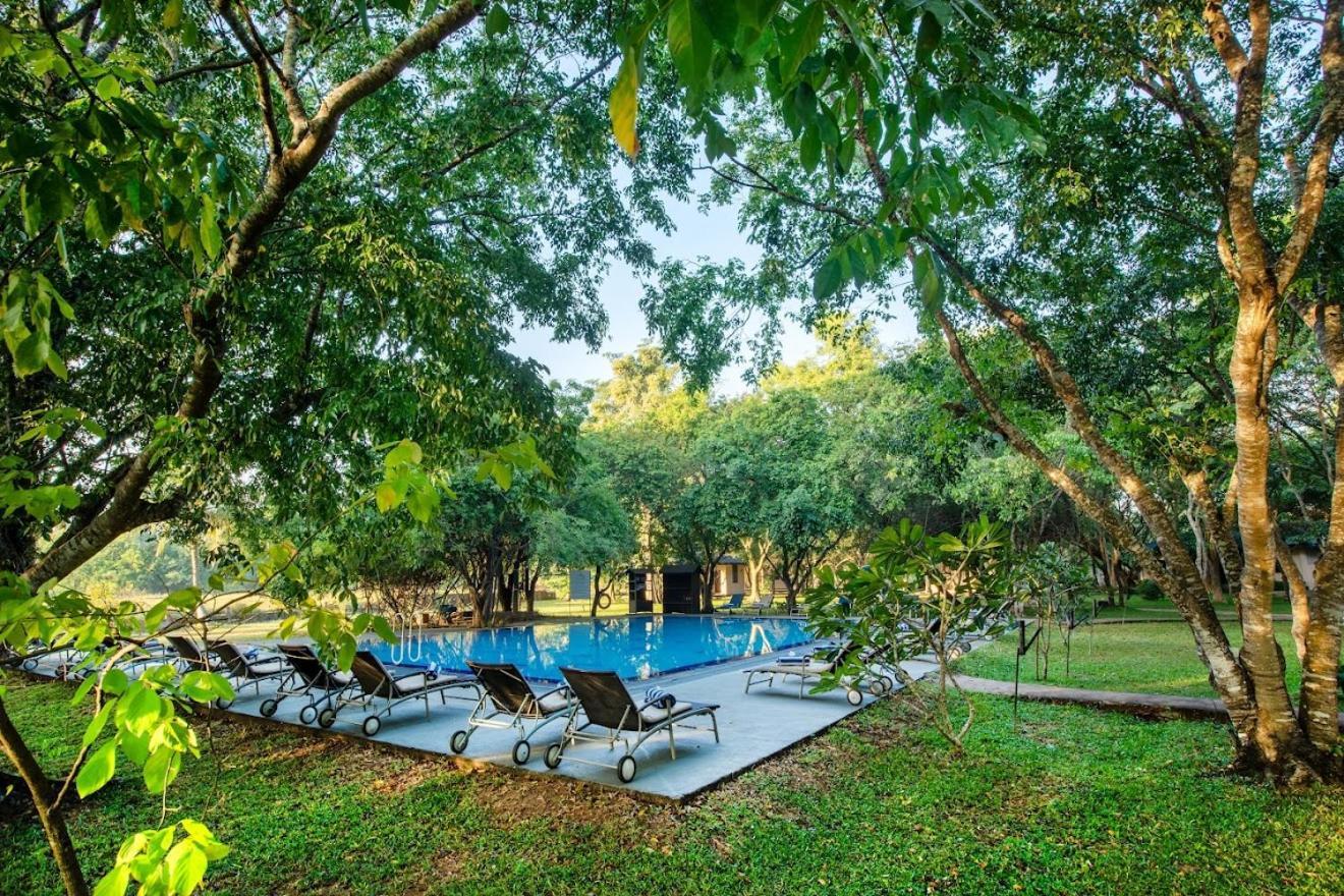 Hotel Kassapa Lions Rock Sigiriya Exterior foto