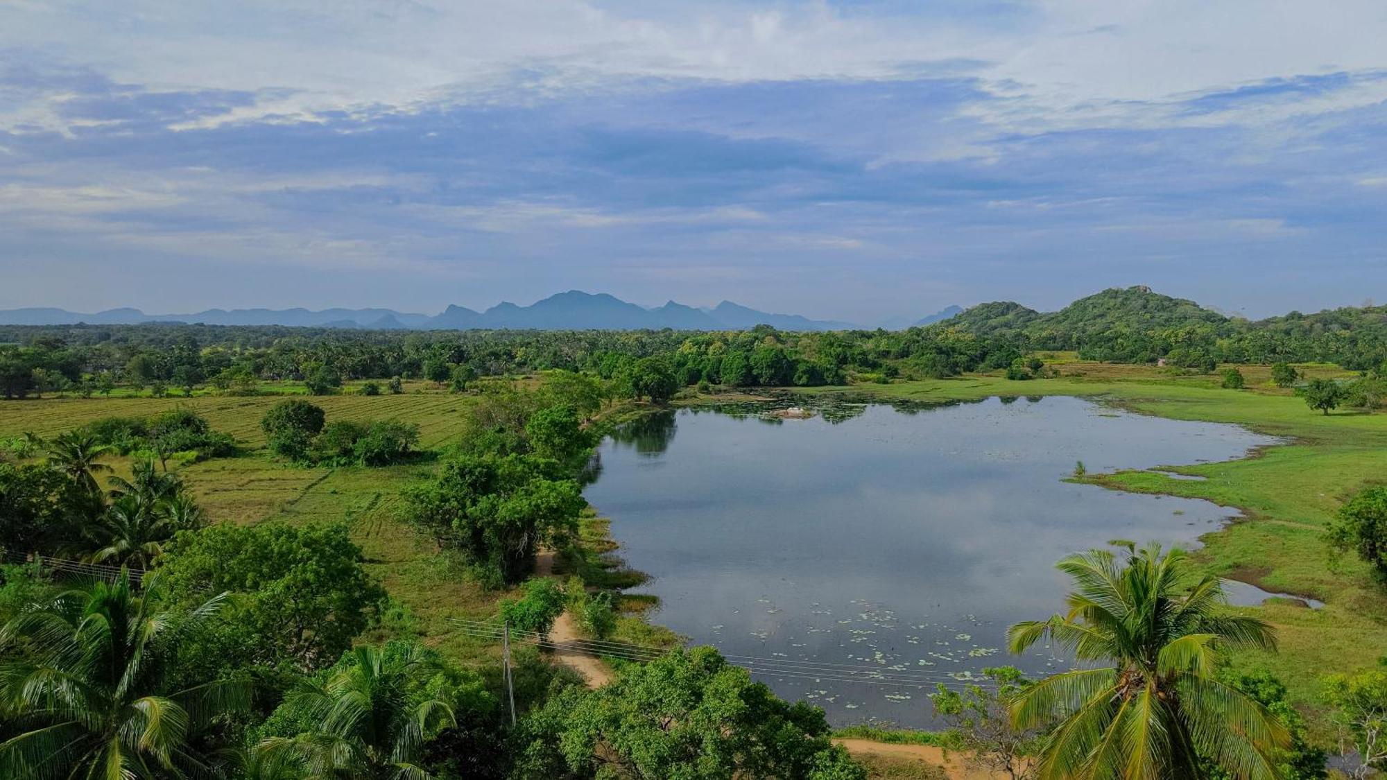 Hotel Kassapa Lions Rock Sigiriya Exterior foto