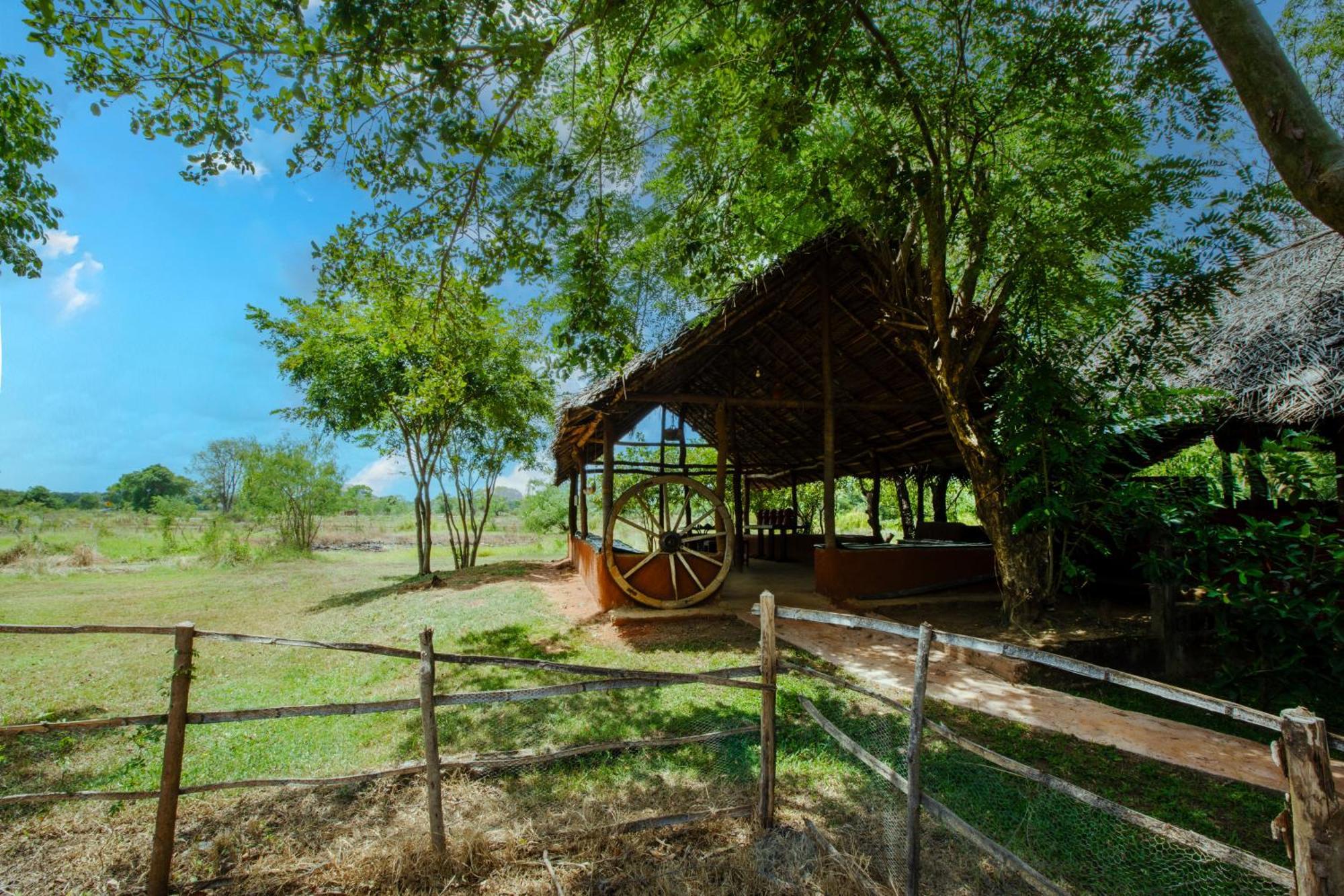 Hotel Kassapa Lions Rock Sigiriya Exterior foto