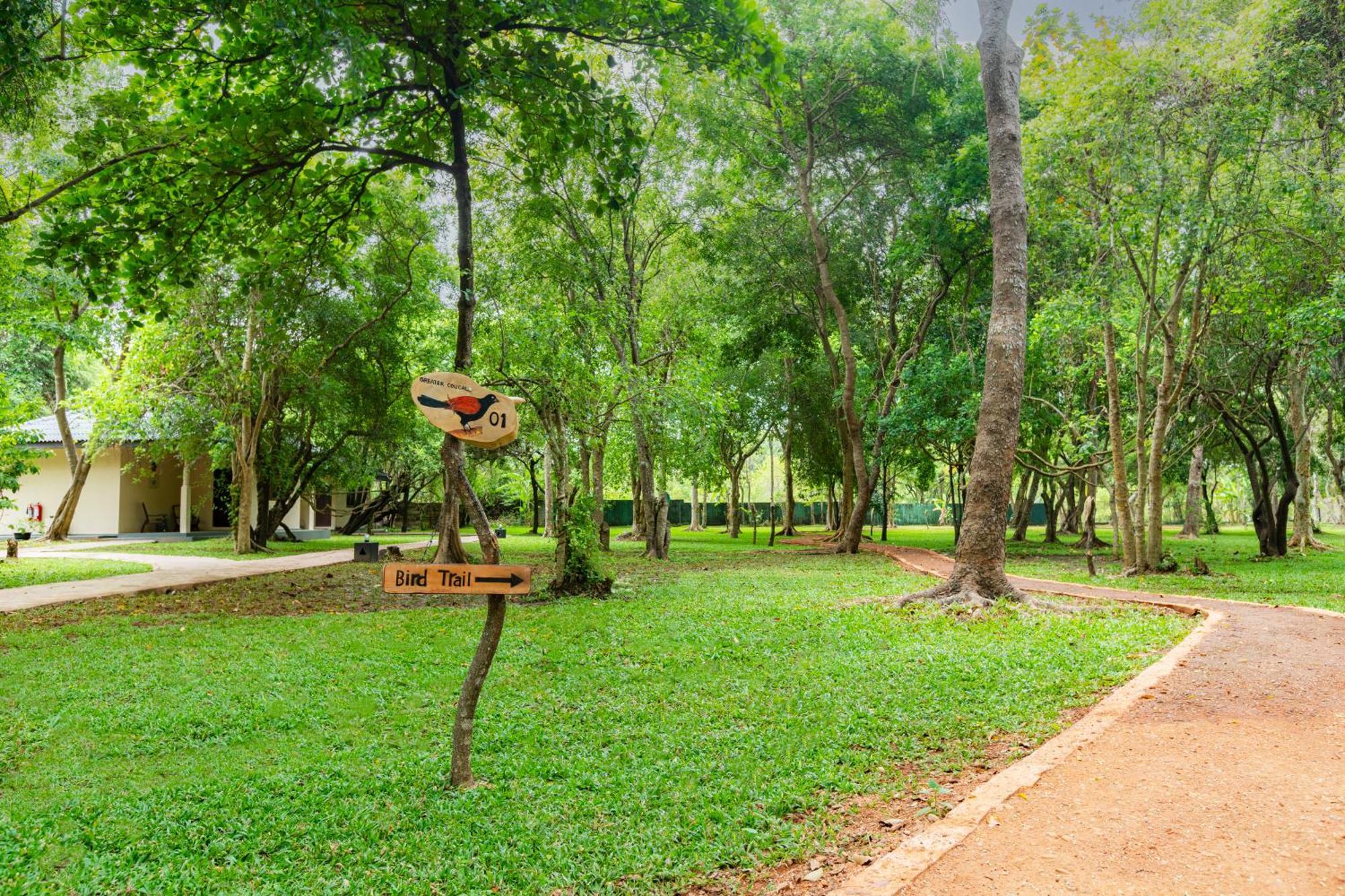 Hotel Kassapa Lions Rock Sigiriya Exterior foto
