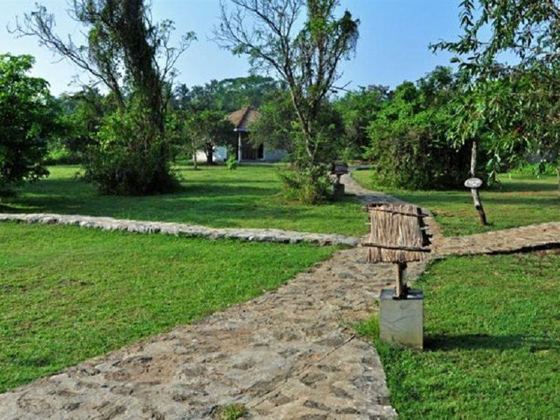 Hotel Kassapa Lions Rock Sigiriya Exterior foto